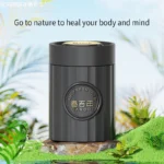 Z-396 Roman Holiday - Image 6